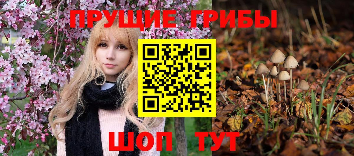 Псилоцибиновые грибы GOLDEN TEACHER  Вход с VPN  Лиски 