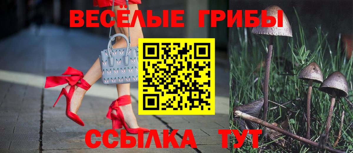 Псилоцибиновые грибы мицелий Лиски